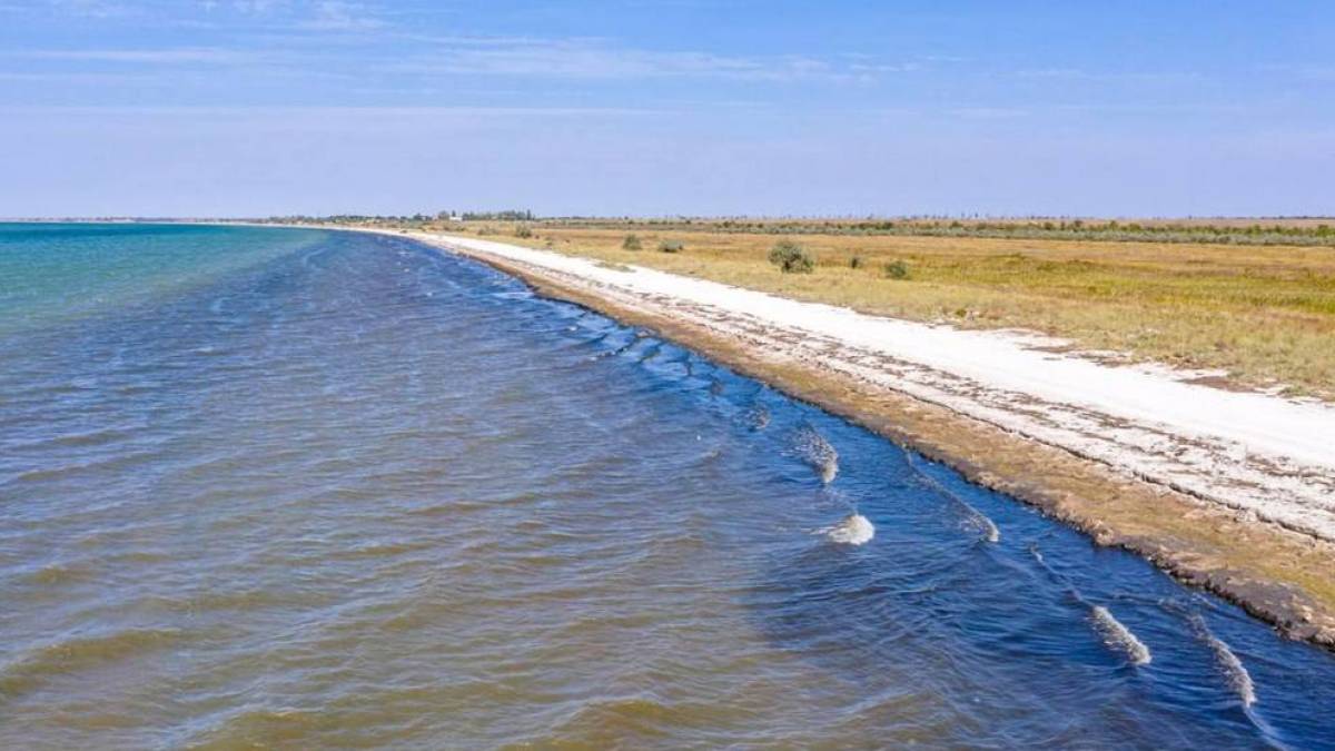 На Запоріжжі рашисти хочуть створити курорт у серці заповідника на Обіточній косі
