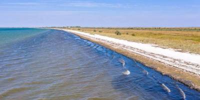 На Запоріжжі рашисти хочуть створити курорт у серці заповідника на Обіточній косі