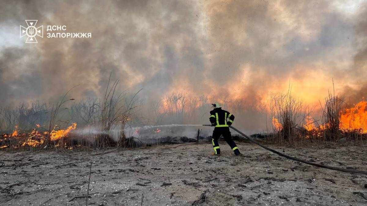 У Запоріжжі загасили масштабну пожежу в плавнях Дніпра
