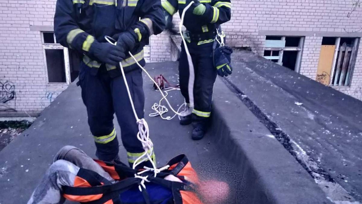Застряг на висоті: у Запоріжжі рятувальники надали допомогу підлітку