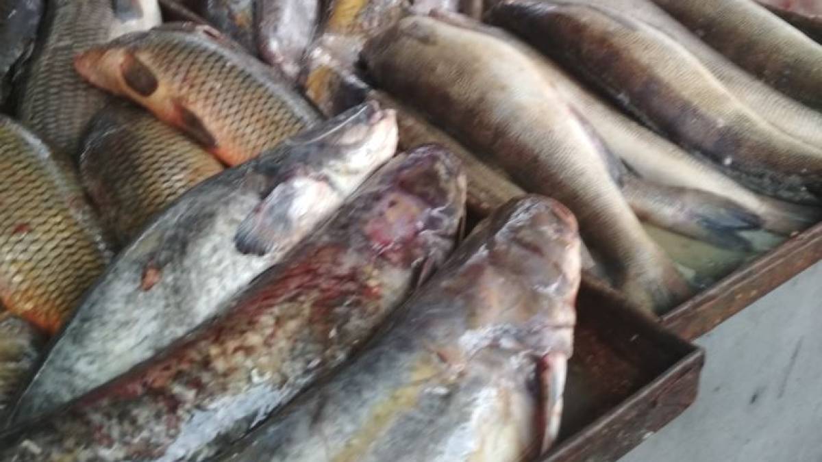 Контроль безпеки харчових продуктів на запорізьких ринках