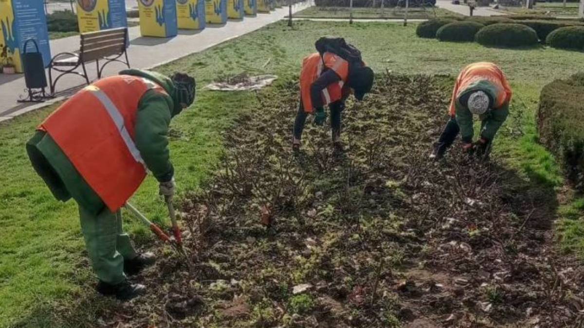 У Запоріжжі побільшає квітів