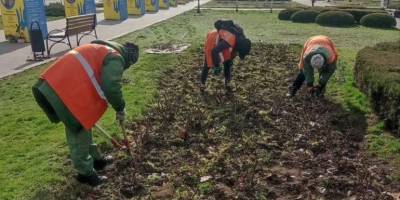 У Запоріжжі побільшає квітів