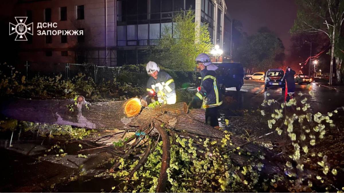 У Запоріжжі рятувальники та комунальні служби всю ніч ліквідували наслідки негоди