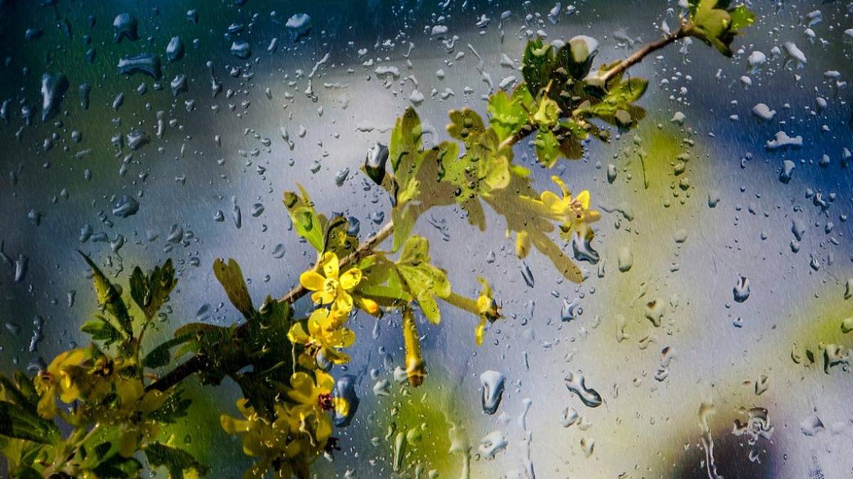 Якою буде погода на вихідні у Запоріжжі та області: прогноз синоптиків