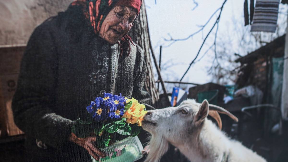 «Це мій дім» на фото Катерини Клочко – зруйнований, та не зломлений