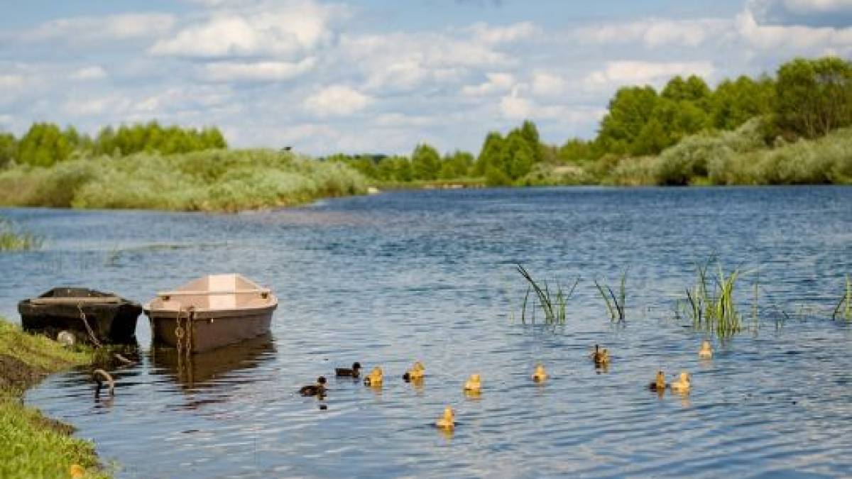 Літо-2024: яка погода чекатиме на українців, розповіла метеоролог
