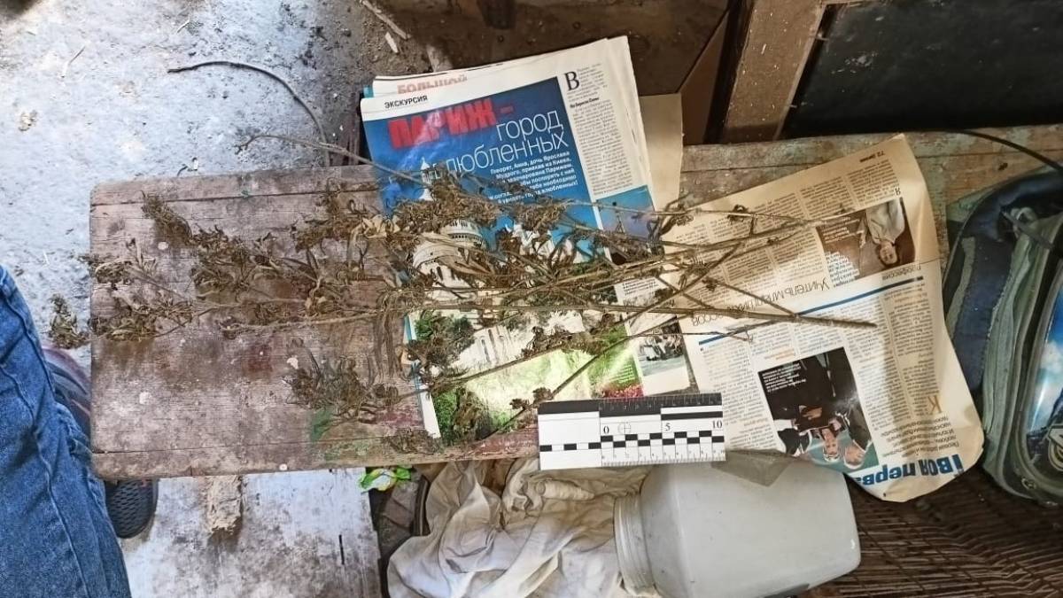Поліцейські затримали 29-річну жительку Запорізького району з двома кілограми канабісу