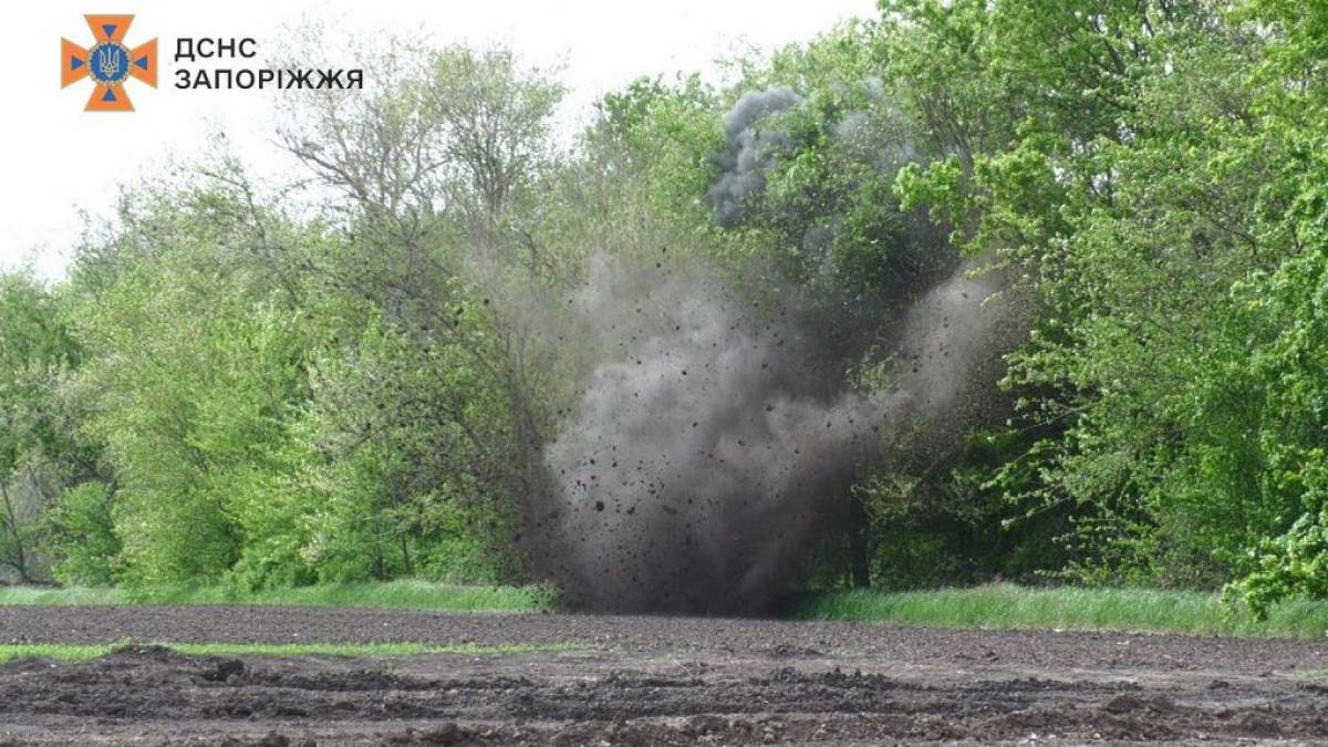 У Запорізькому районі піротехніки виявили та знищили гранатометний постріл