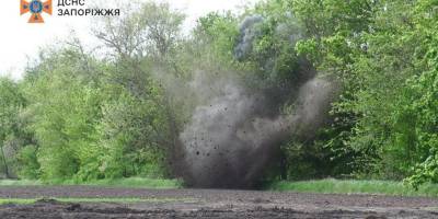 У Запорізькому районі піротехніки виявили та знищили гранатометний постріл