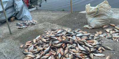 На Дніпровському водосховищі  порушники завдали  збитки рибному господарству на понад 3,2 млн. грн