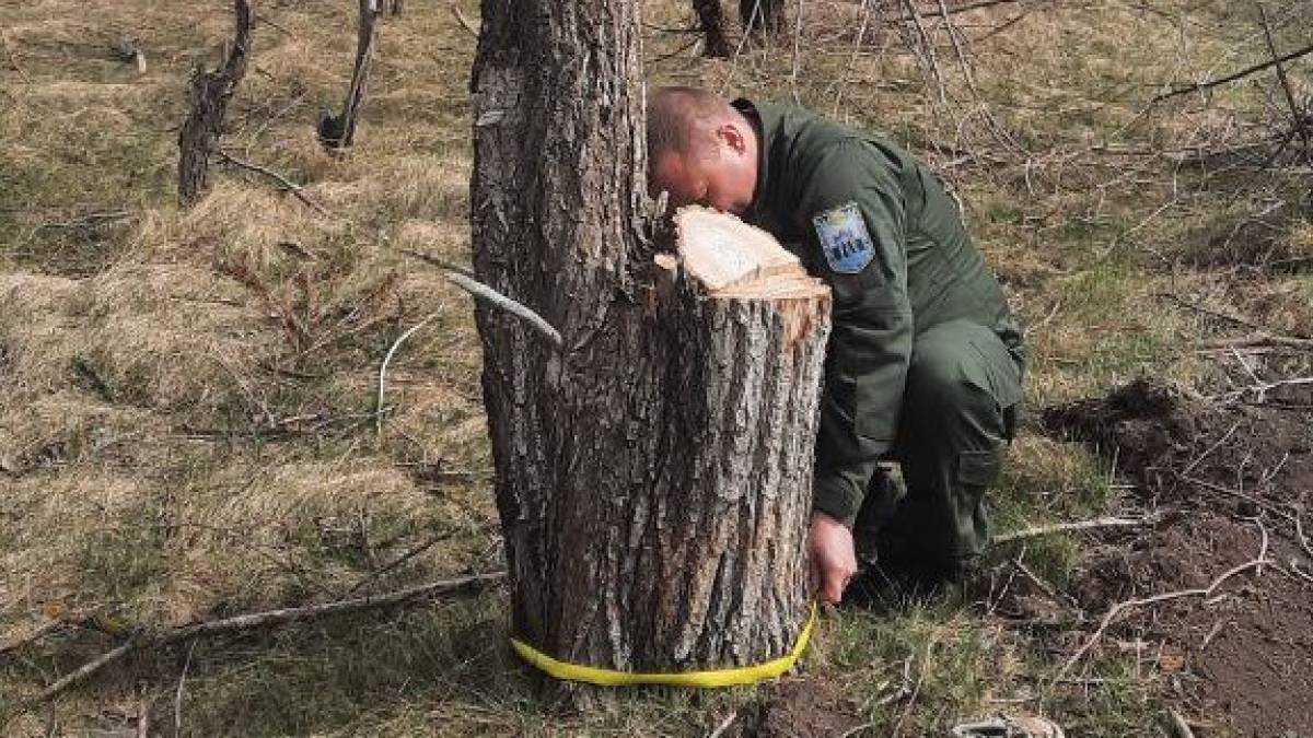 У Вільнянському районі виявлено нанесення шкоди довкіллю на понад 6,4 млн грн
