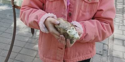 Великодній ярмарок кераміки у Запорізькій художці відбувся та вдався