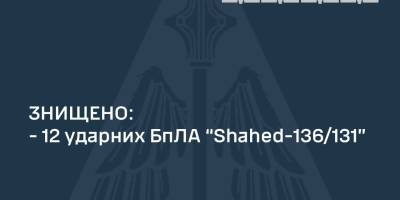 Мобільні групи ЗСУ цієї ночі знищили 12 “шахедів”