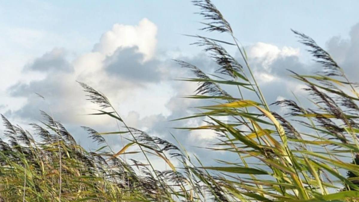 У Запоріжжі прогнозують погіршення погоди