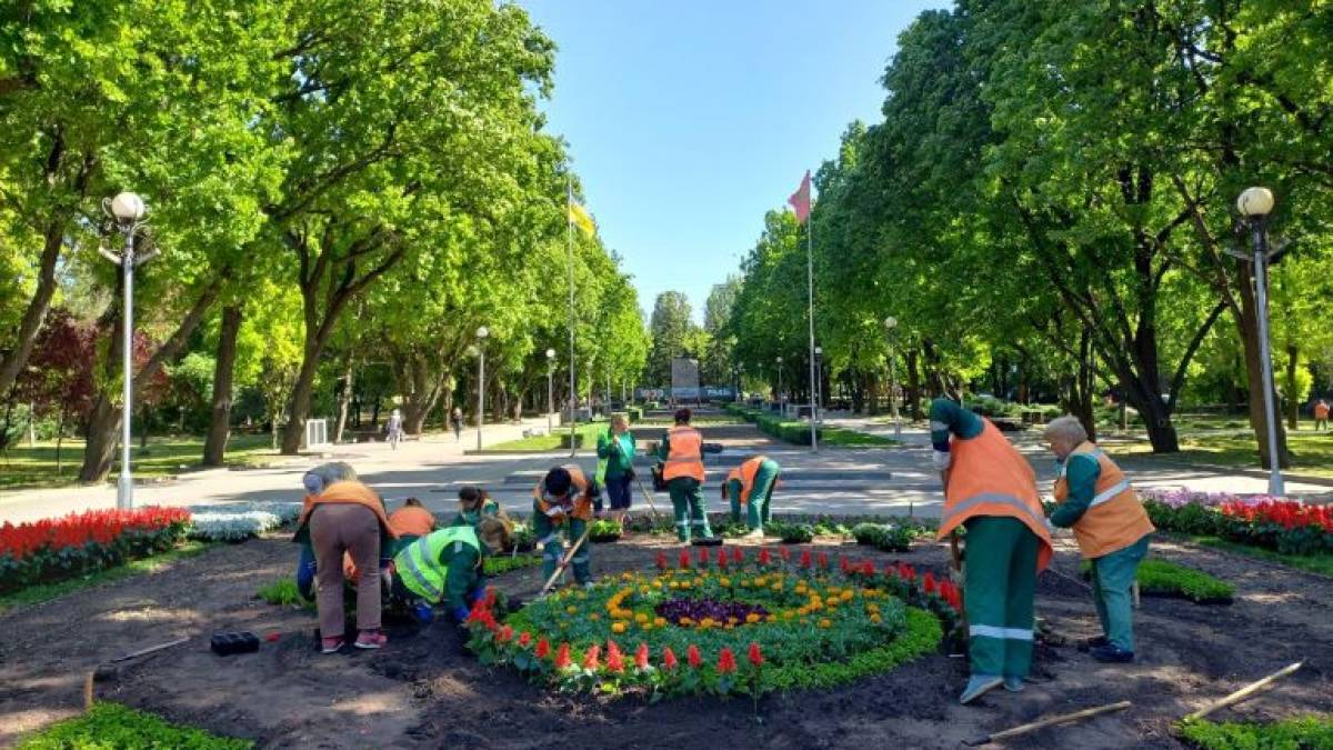 У Запоріжжі на Алеї Бойової Слави висадили 14 тисяч квітів
