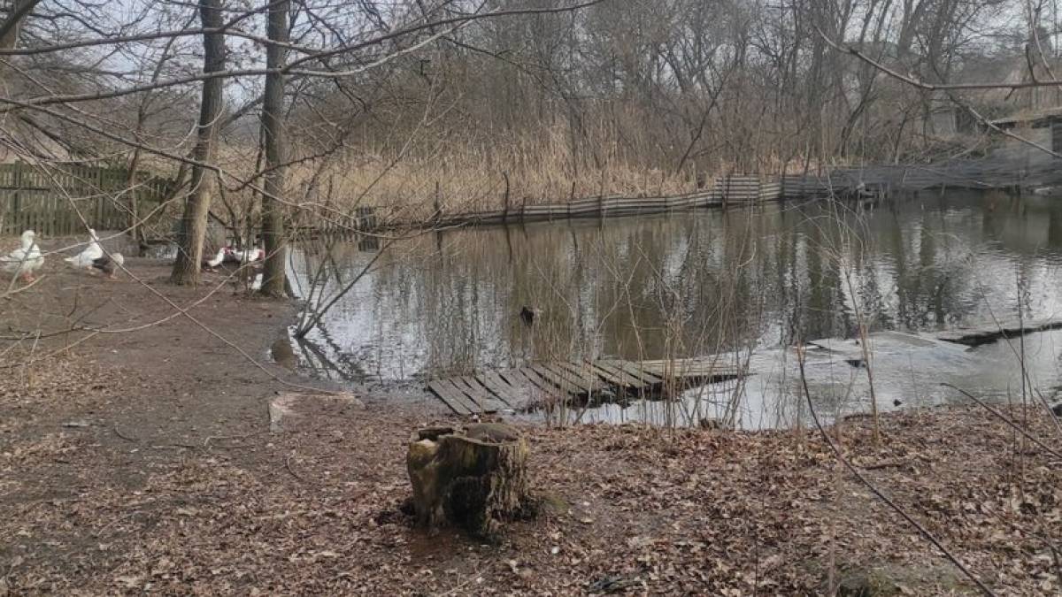 У Запоріжжі виявили незаконні споруди на березі річки