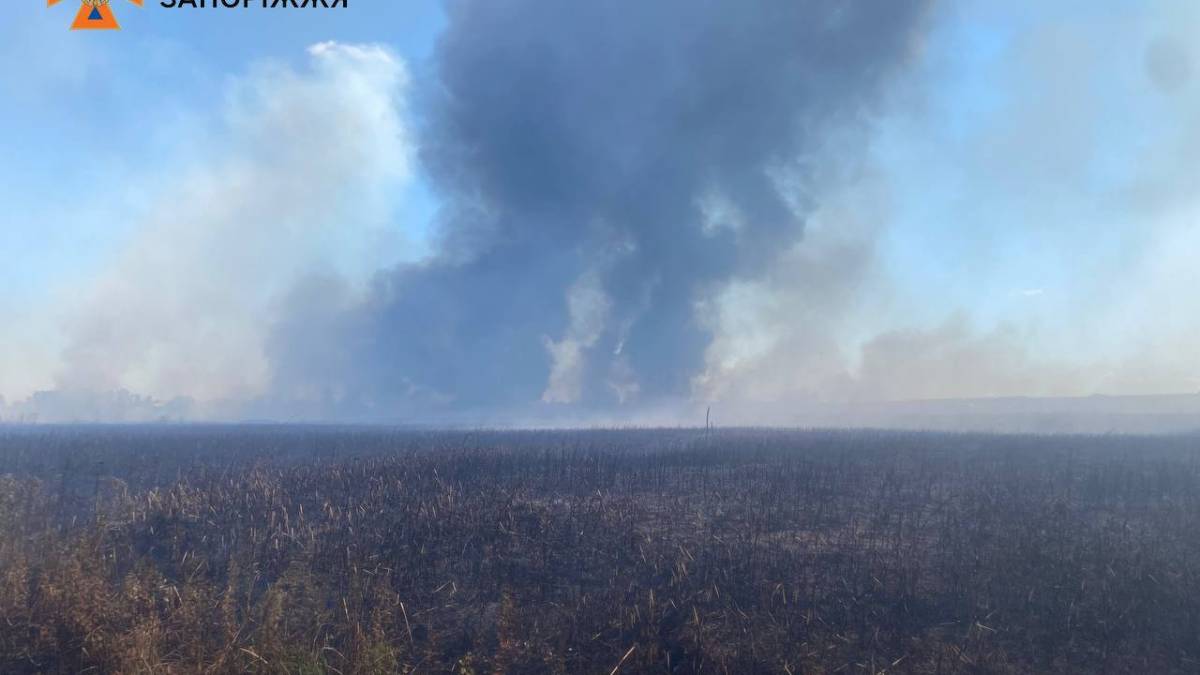 У Запоріжжі спалахнула масштабна пожежа в плавневій зоні – фото