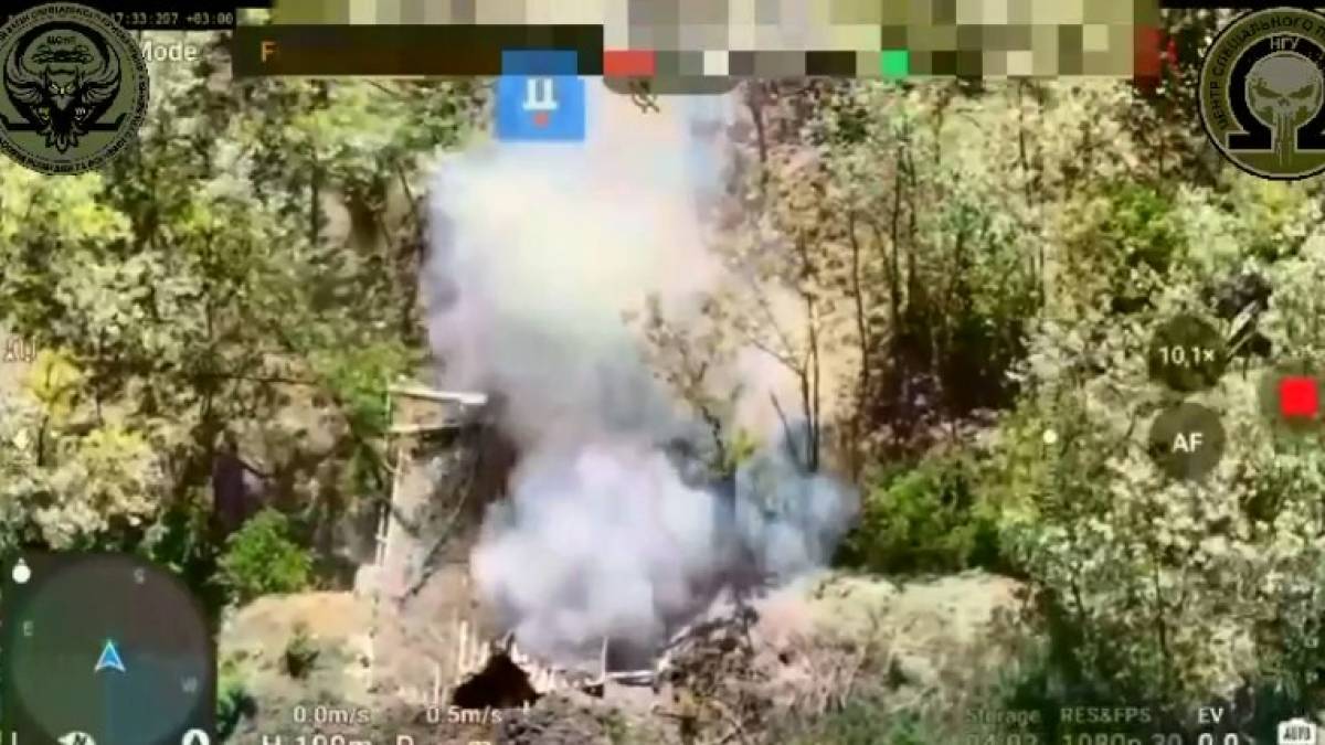 На Запорізькому напрямку спецназівці Нацгвардії зачищають лісосмугу від ворога