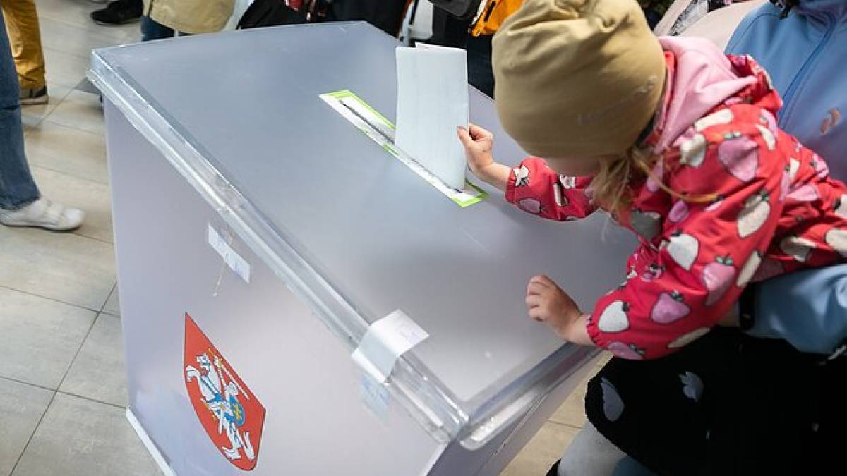 У Литві провалився референдум щодо подвійного громадянства