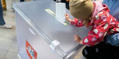 У Литві провалився референдум щодо подвійного громадянства