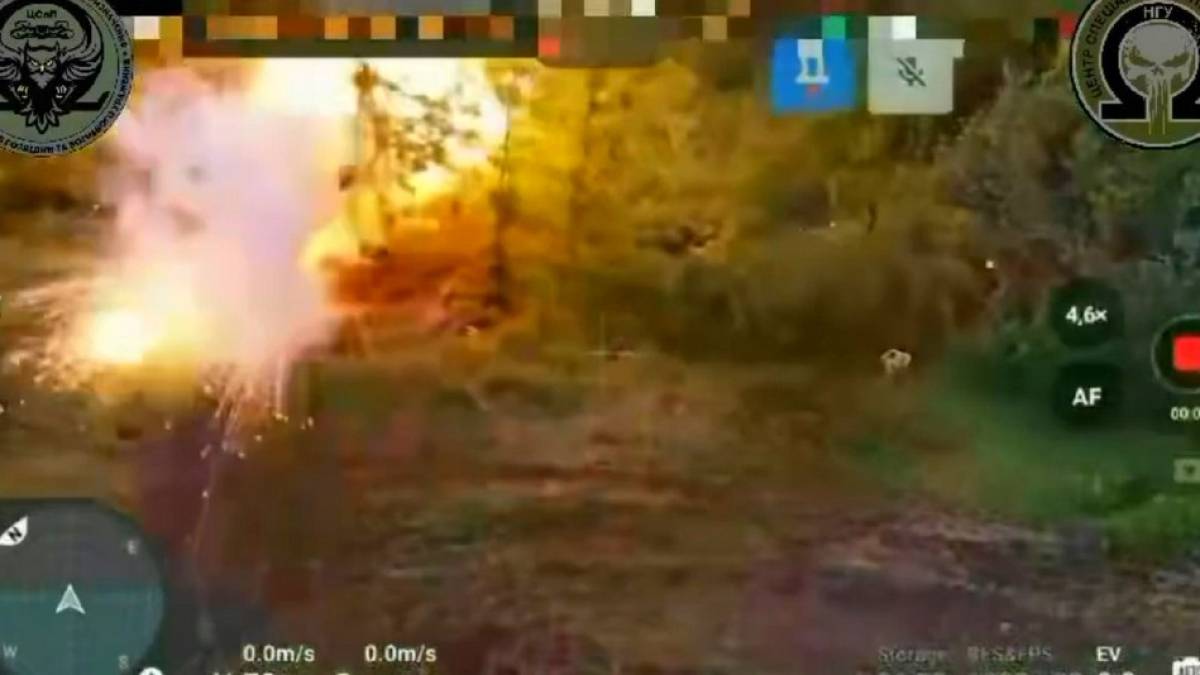 На Запоріжжі спецназ НГУ знищив ворожий міномет із боєкомплектом