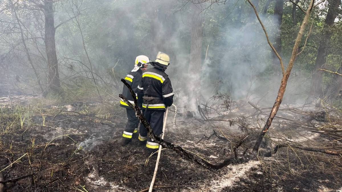 У Запоріжжі сталася пожежа у заповіднику «Хортиця»