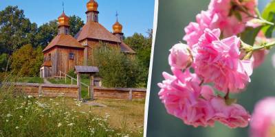 Церковне свято 20 травня: традиції, прикмети – що треба встигнути зробити до заходу сонця