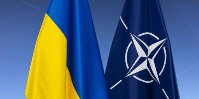 ПА НАТО закликає дозволити Україні бити західною зброєю по цілях у росії — Декларація