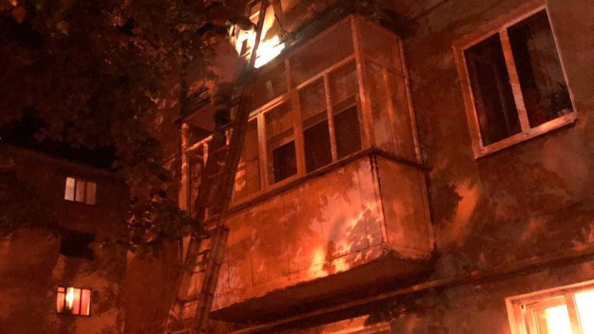 У Запоріжжі врятували кота, що випав з балкону
