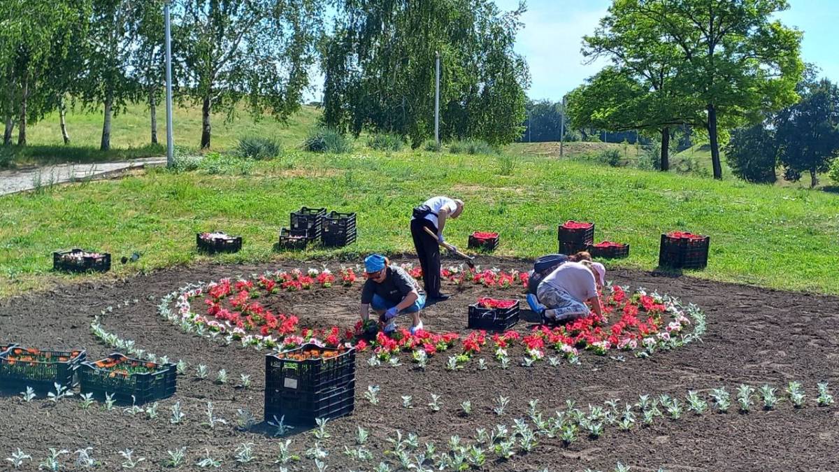 У парку Запоріжжя зацвіла “Квітка миру” (фото)