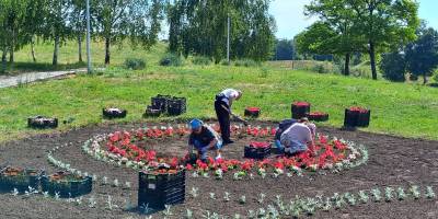 У парку Запоріжжя зацвіла “Квітка миру” (фото)