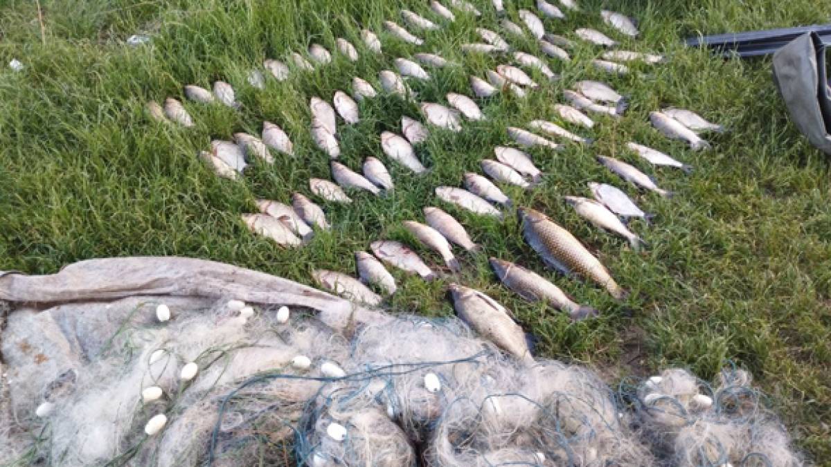 На акваторії Дніпровського водосховища спіймали чергових браконьєрів