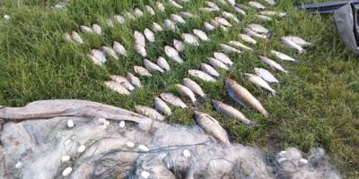 На акваторії Дніпровського водосховища спіймали чергових браконьєрів