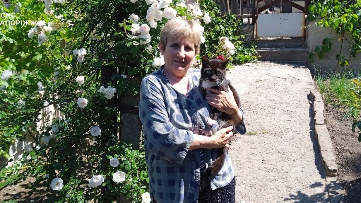 У Запоріжжі врятували котика, який кілька днів просидів на високому дереві