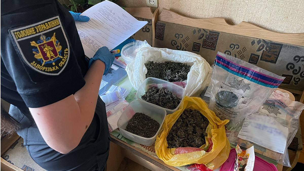 У Запорізькій області «бізнесмени» вирощували канабіс у промислових масштабах – фото
