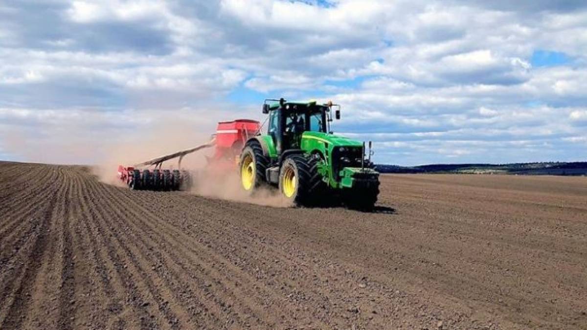 Запоріжжя: оцінки посівної-2024, прогнози на врожай, проблеми агрогосподарств