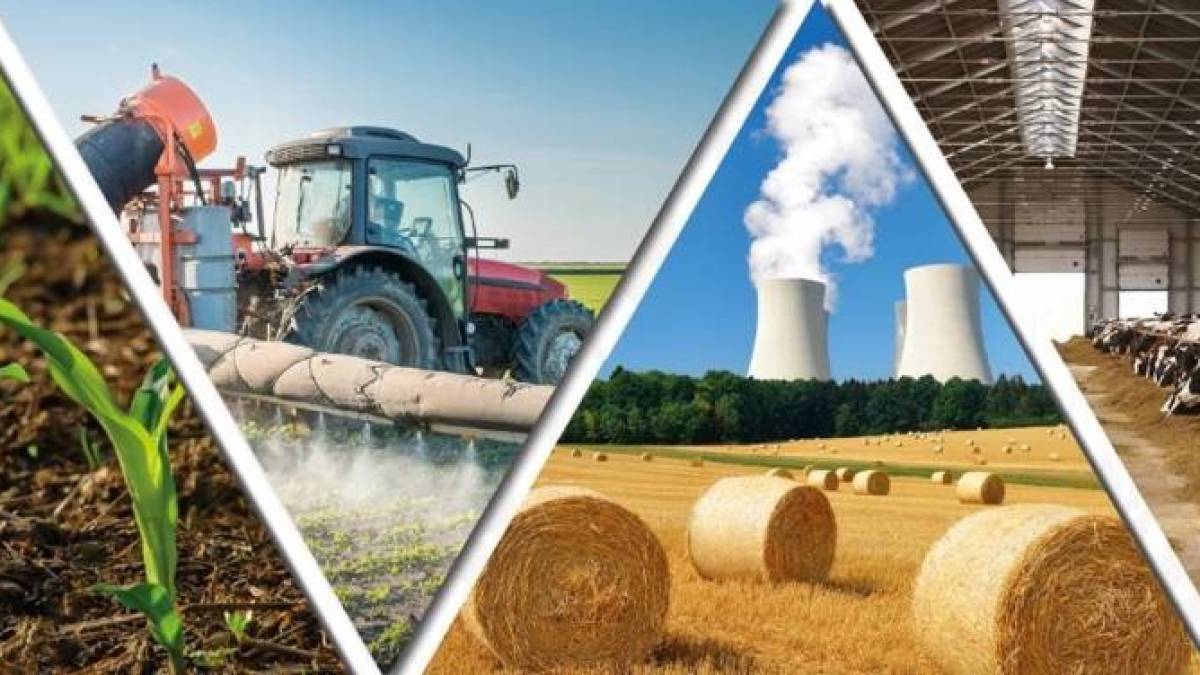 До уваги запорізьких аграріїв: в Україні розробили нову стратегію розвитку сільського господарства