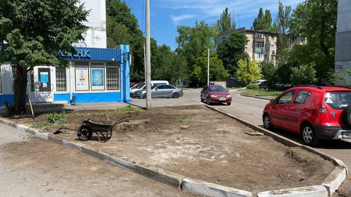 В Запорожье предприниматели уничтожили зеленую зону, чтобы построить стоянку – фото