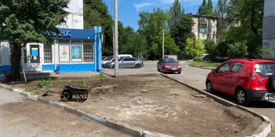 В Запорожье предприниматели уничтожили зеленую зону, чтобы построить стоянку – фото