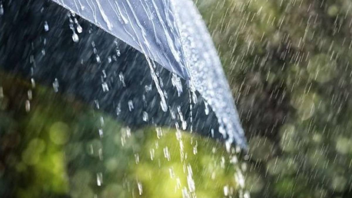 Якою буде погода в Запоріжжі в перші дні тижня – прогноз синоптиків