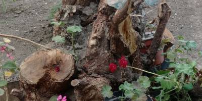 У Бердянську втрата:  невідомі зламали «мальчика» з фонтану
