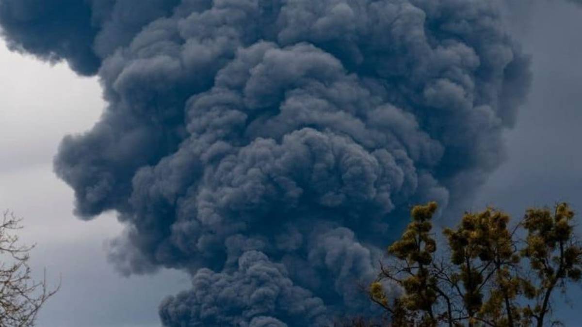 На Запоріжжі фіксують шкоду довкіллю внаслідок російської агресії