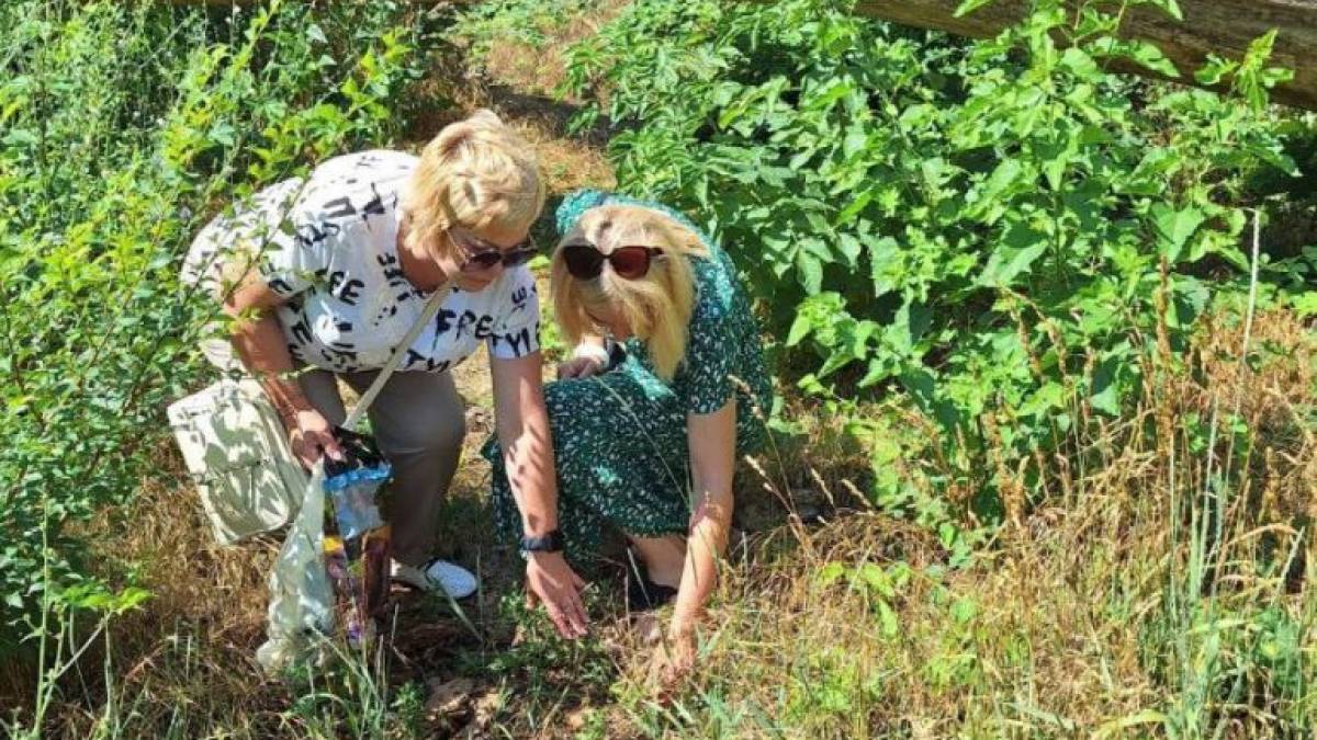 Фітосанітарна служба Запоріжжя обстежила понад 250 га території міста щодо виявлення амброзії