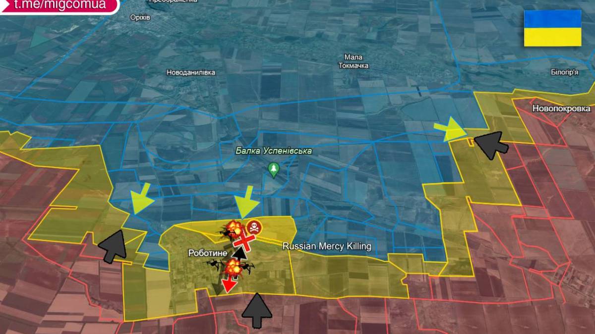 Під Роботиним окупанти зустрілися з FPV-дроном Сил оборони
