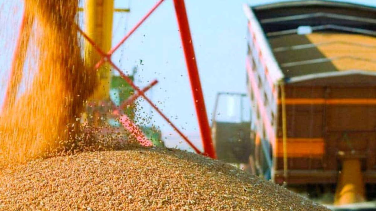 Жнива-2024: Україна вже зібрала 100 тисяч тонн урожаю зернових – Мінагрополітики
