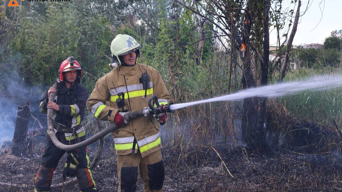 У Запоріжжі сталася масштабна пожежа на дачах – фото, відео