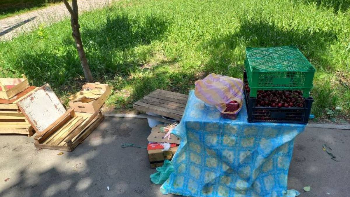 Як на Запоріжжі борються зі стихійною торгівлею