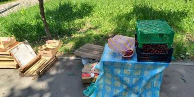 Як на Запоріжжі борються зі стихійною торгівлею
