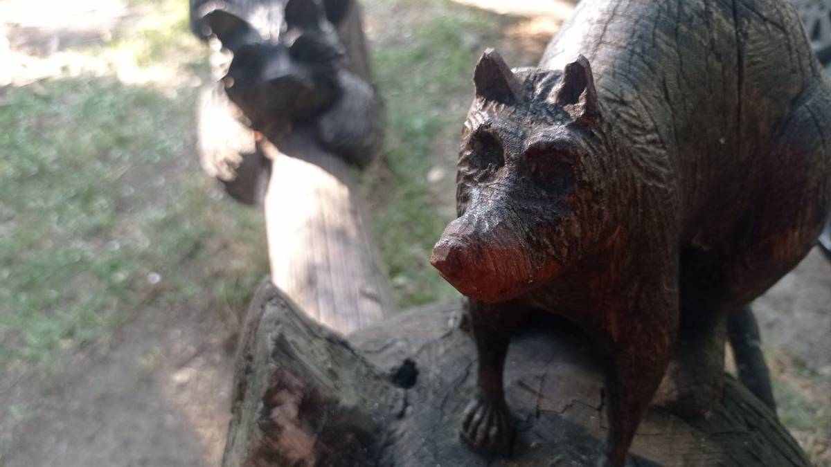 Запорізькі двори: неочікувані зустрічі із нескінченною творчістю